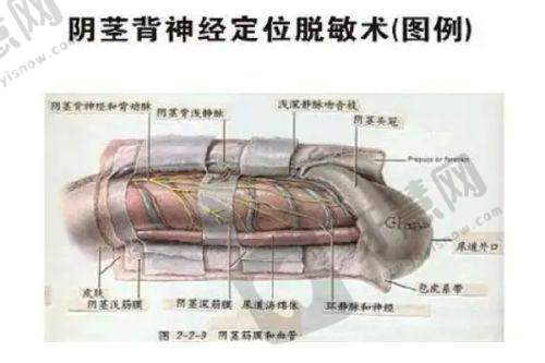 郑小红双眼皮修复实例分享，成效看得见吗？
