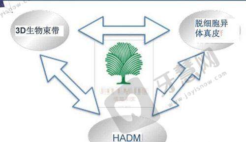 冯勇医生的执医荣誉：眼整形领域的专精认可