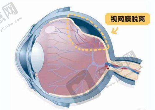 2025北京同仁医院眼科医生排名榜：北京同仁医院眼科地址及来院路线