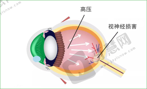 五、哈尔滨市眼科医院医生简介