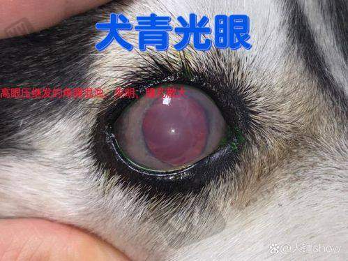 哈尔滨第二一一医院眼科基本信息