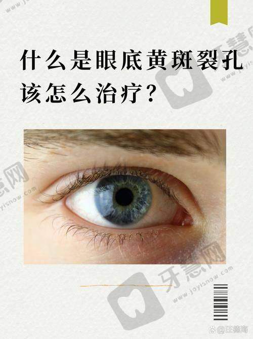 哈尔滨医 科 大学附属第二医院眼科基本信息