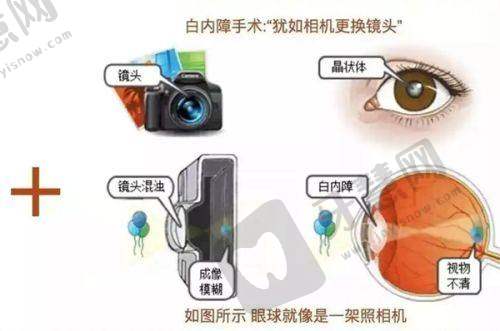总结：首尔丽格值得选择的五大理由