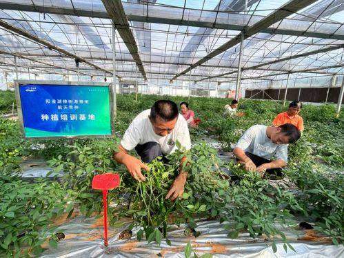 结尾:选择泉州稻芽口腔解决口腔困扰