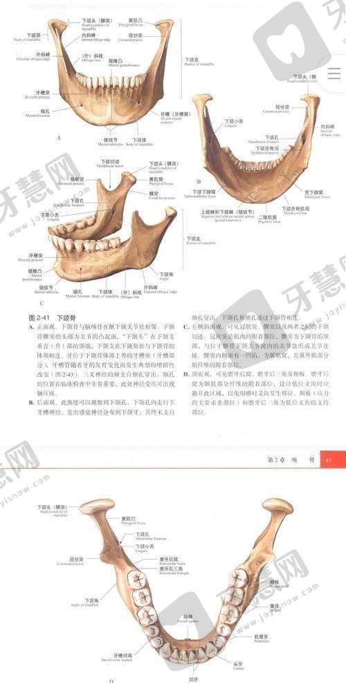 广东省口腔医院基本信息