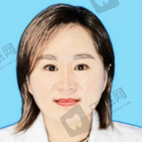 公美华