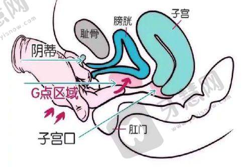 LOOK八:郑州丽天罗明生吸脂在吸脂修复方面表现怎样?