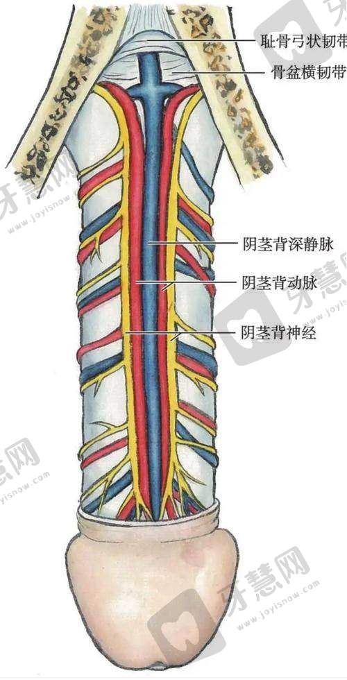哈尔滨华美整形医院地址及乘车路线