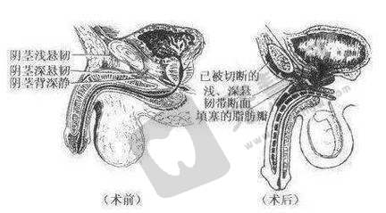 北京芳园整形医院基本信息