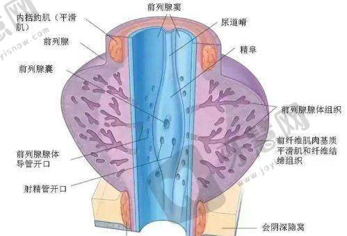 北京润美玉之光整形医院价格表