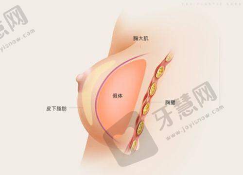 李辉医生的技术亮点与擅长项目