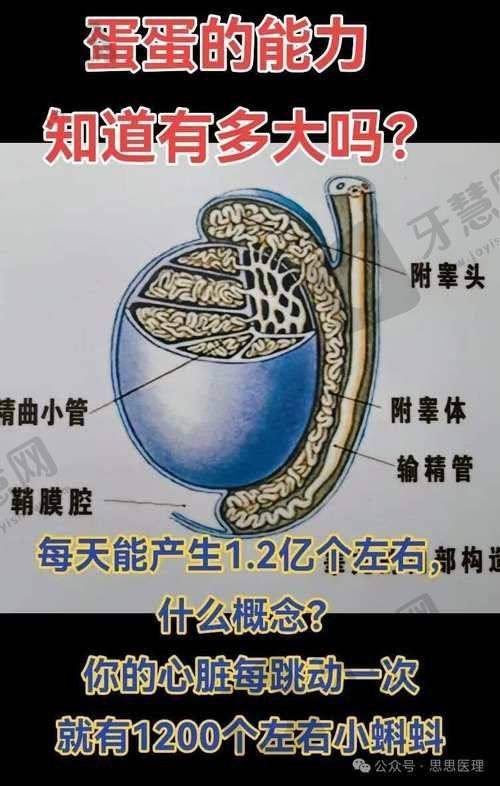 海口瑞韩医学美容医院医生简介