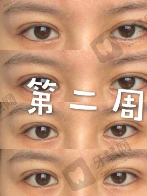 朱红振医生的执医荣誉