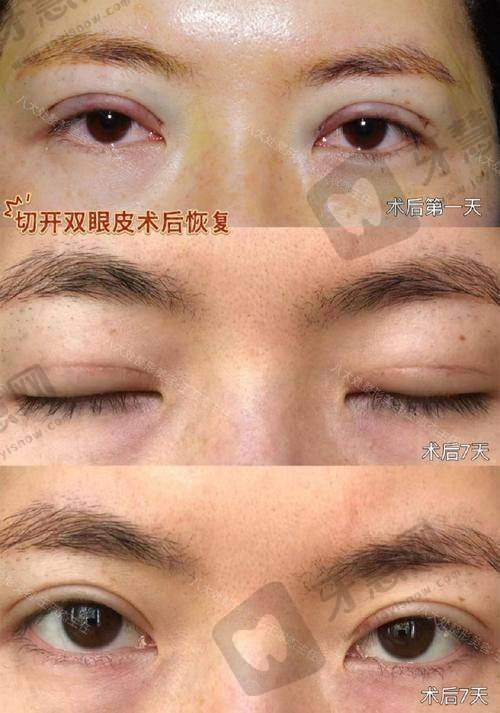 易东风医生的执医荣誉