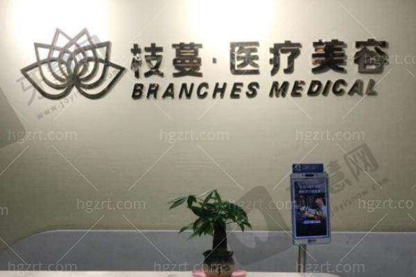 郑州枝蔓医疗美容诊所项目特色