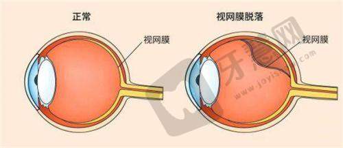 刘苏冰医生相关项目价格