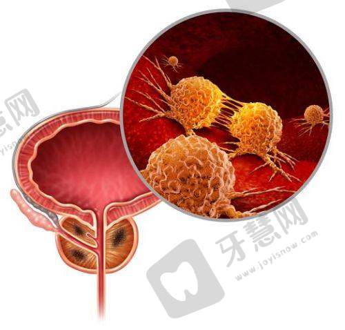 昆明新禾整形医院价格表