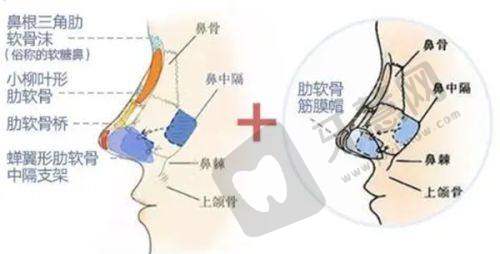 毫州医美在线问诊电话24小时服务热线是多少？附三甲医院及热门项目指南