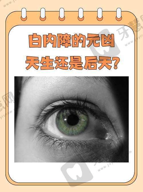 上海同济医院眼科医生团队实力强大及骨干医生简介