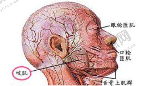南京康贝佳口腔医院新模范马路店医生团队