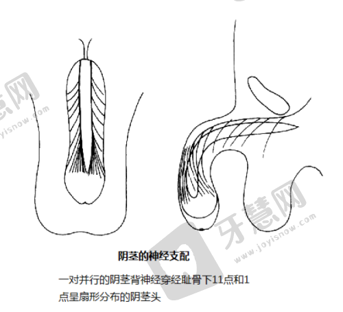 南京健丽医美是正规医院吗?是的而且去眼袋不开刀技术靠谱——未来发展展望
