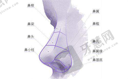 南京牙管家口腔医生介绍有亮点之核心医生董婷婷