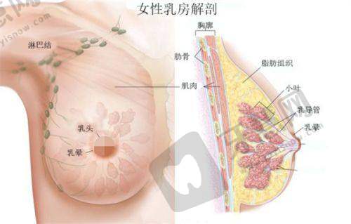 南京康贝佳口腔医院新模范马路店价格及优惠