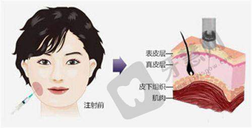 口腔医院在线询问免费一对一：避坑指南，这3类