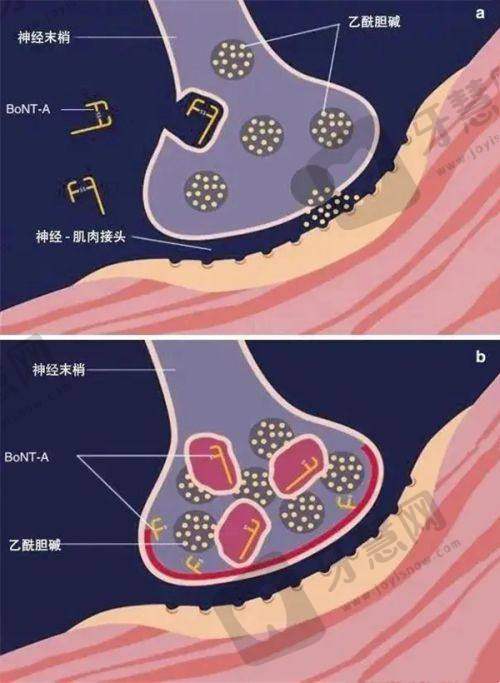 合肥整形医院排名第一的医院之患者口碑