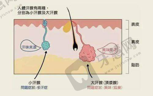 泰国整形医院在线预约询问电话：IDL整形医院的特色与预约