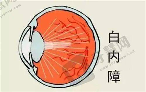 大连爱尔眼科医院的整体概况与特色服务