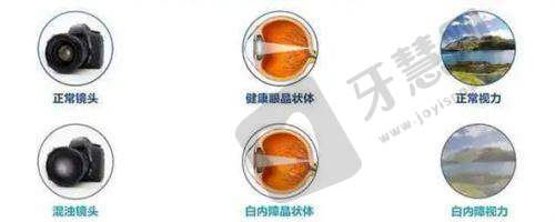 总结与询问方式