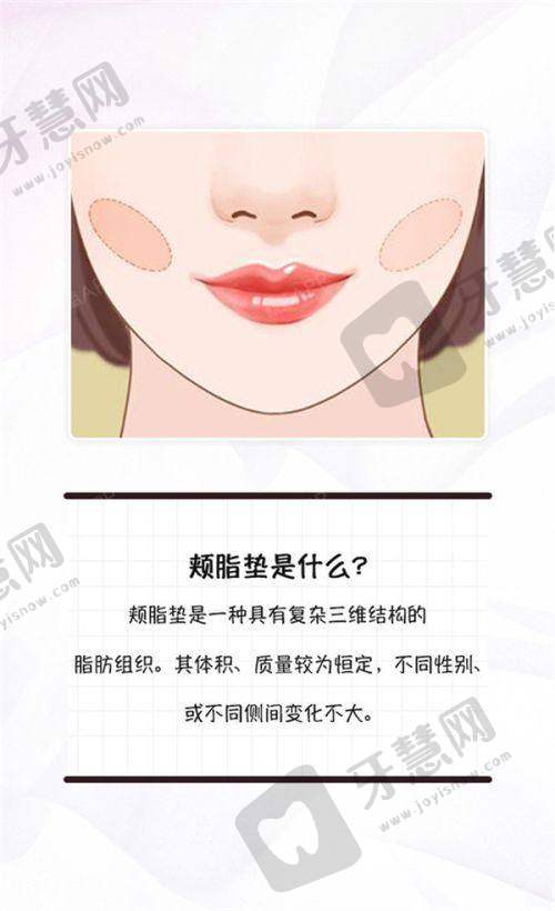 合肥隆鼻子大概多少费用之美学与安心建议
