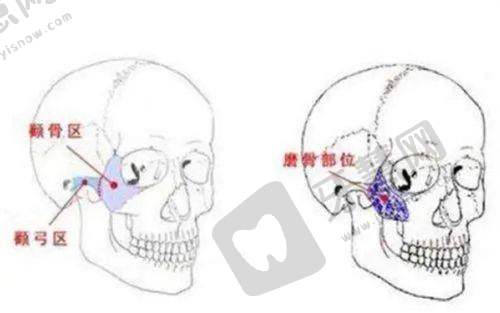 上海整形医院排行榜前十名包括哪些——部分医院技术特色