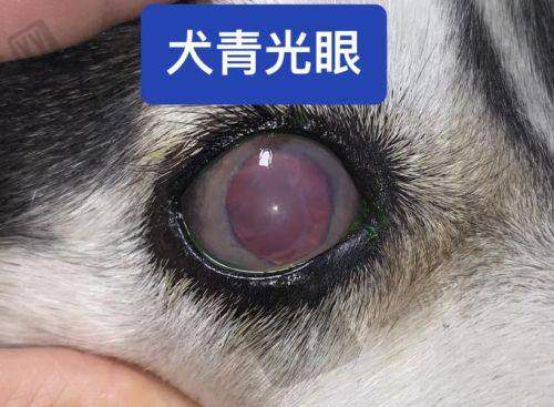 北京明玥眼科诊所的医生团队实力