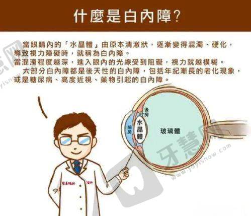 大连爱尔眼科医院的医生团队与收费标准