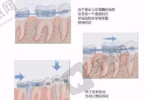 鼻子整形询问要询问些什么