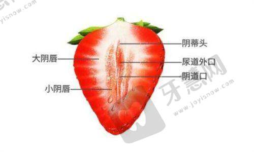 骨水泥颅顶增高术的成效与维持时间