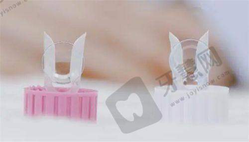 牵牛花综合征图片的拍摄技巧内容