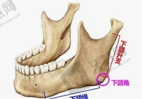 赵鹏医生筋膜提升个性化方案定制