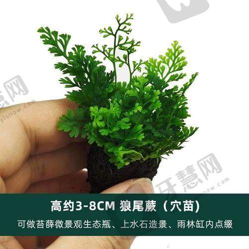 郭启利