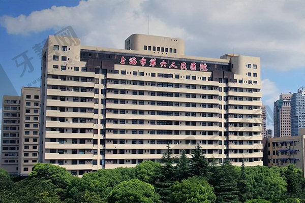上海市第六人民医院整形外科