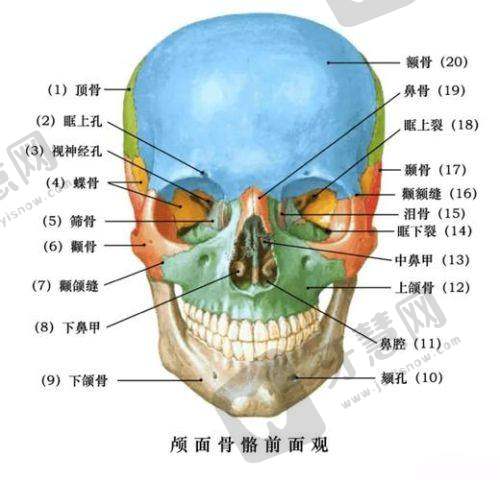 福州威斯登口腔门诊部的具体地址