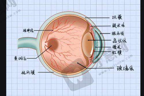 上海爱尔眼科医院医生简介:曹薇