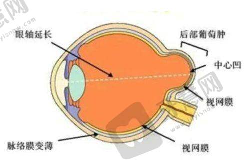 2025赵阳医生各医院坐诊时间是怎样的