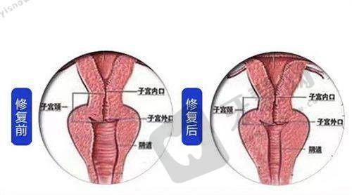 1. 在线弹窗预约