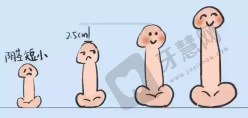 超声炮对比图:如何确保呈现好成效