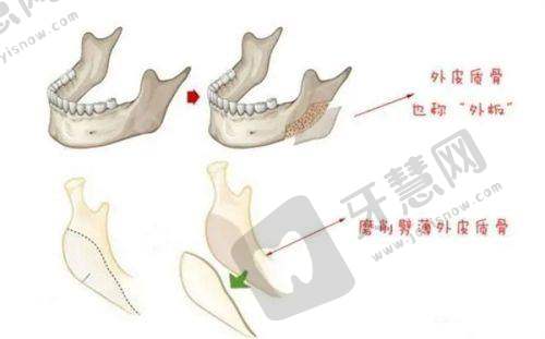 上海联合丽格范荣杰口碑如何