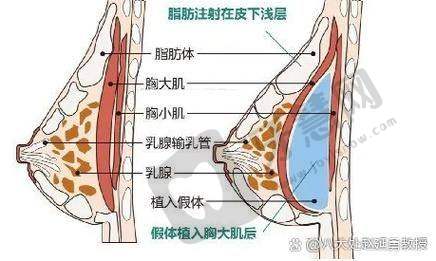 阳海斌医生口碑评价及反馈内容
