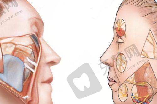 男性乳房大是什么病?2025最新科普:成因、风险及应对全解析